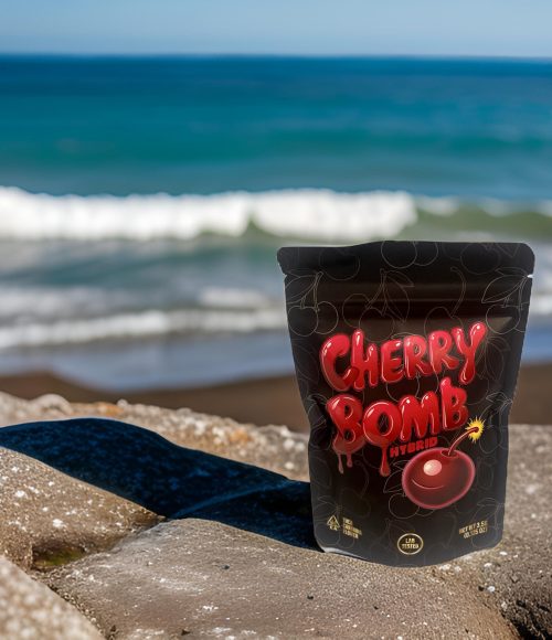 IMG_9930_1737529285096 IMG_9930_1737529285096